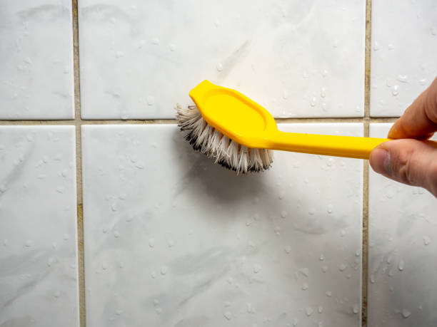 Best Home Mold Removal  in Yucos, CA