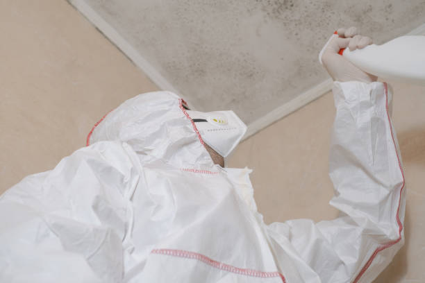 Best Mold Remediation  in Yucos, CA